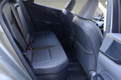 2023 Lexus NX NX 350h Premium