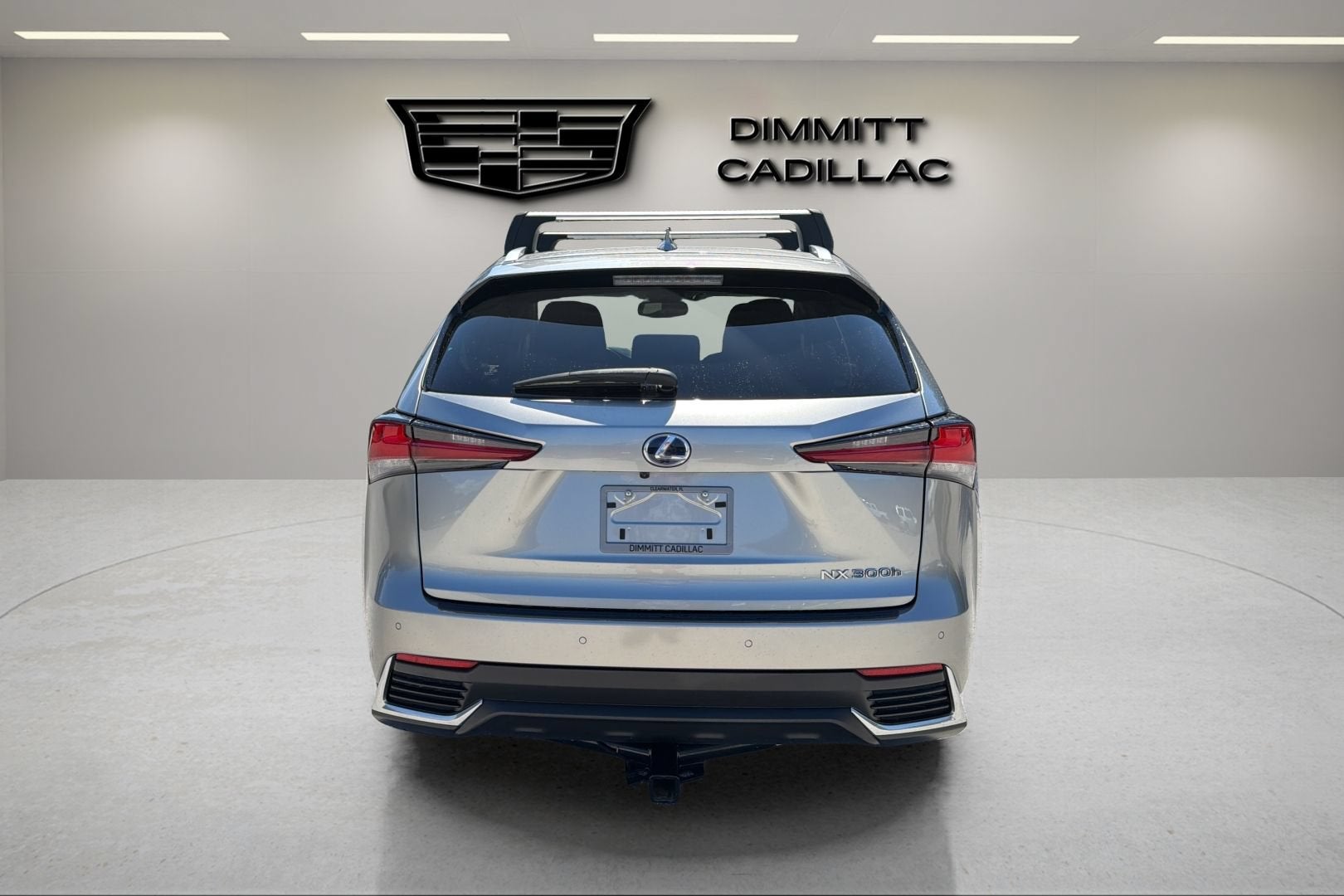 2020 Lexus NX NX 300h