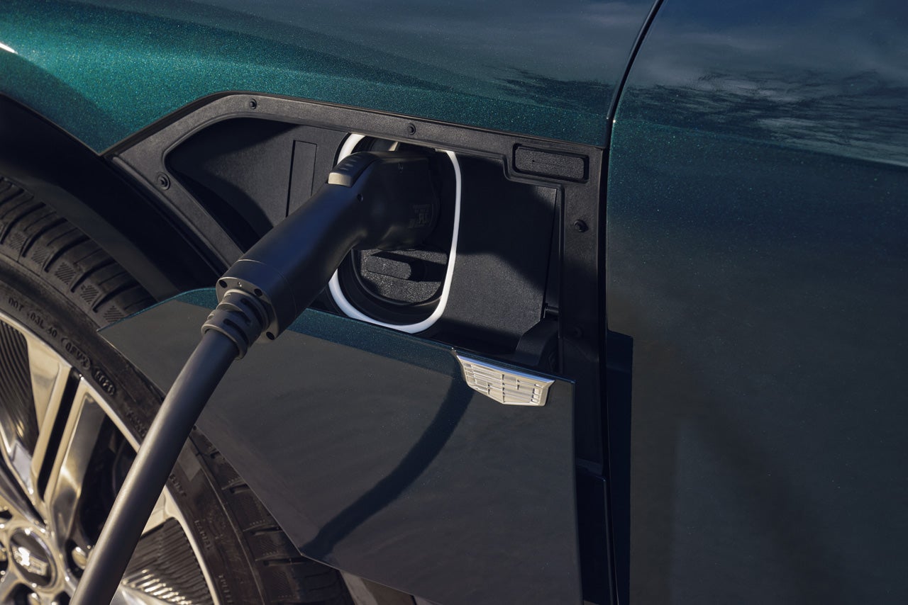 Dimmitt Cadillac of Clearwater in Clearwater FL