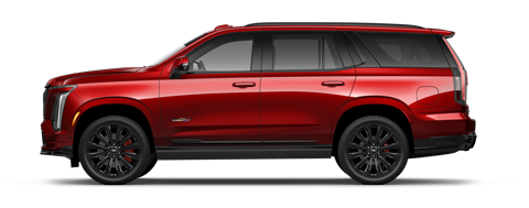 Dimmitt Cadillac of Clearwater in Clearwater FL