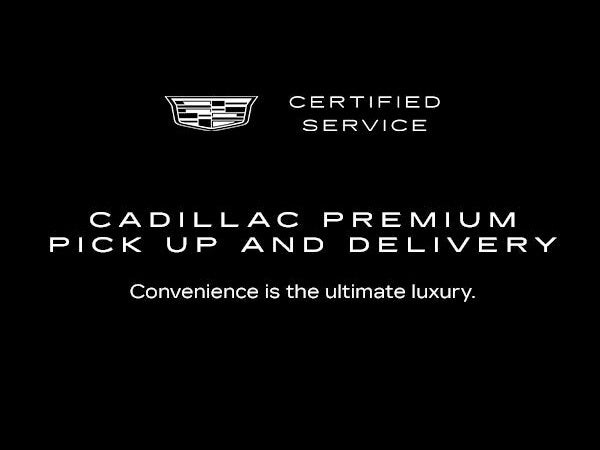 Premium Pickup & Delivery